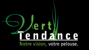 Logo Vert Tendance